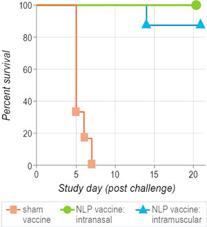 TestresultsindicatetheefficacyoftheNLPplatform--100%ofvaccinatedratssurvivedabacterialchallenge,ascomparedto0%ofunvaccinatedrats.