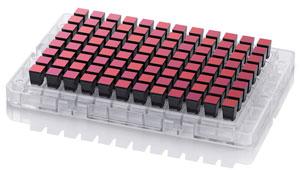 The applied biosystems axiom microbiome array is commercially available in a 96-sample format (pictured above) and a 24-sample format from thermo fisher scientific, inc.