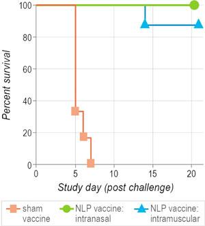Test results indicate the efficacy of the nlp platform—100% of 								  vaccinated rats survived a bacterial challenge, as compared to 0% of unvaccinated rats.